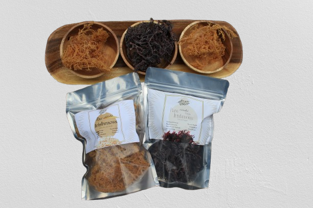 1 Raw Purple Pack + 1 Purple Gel