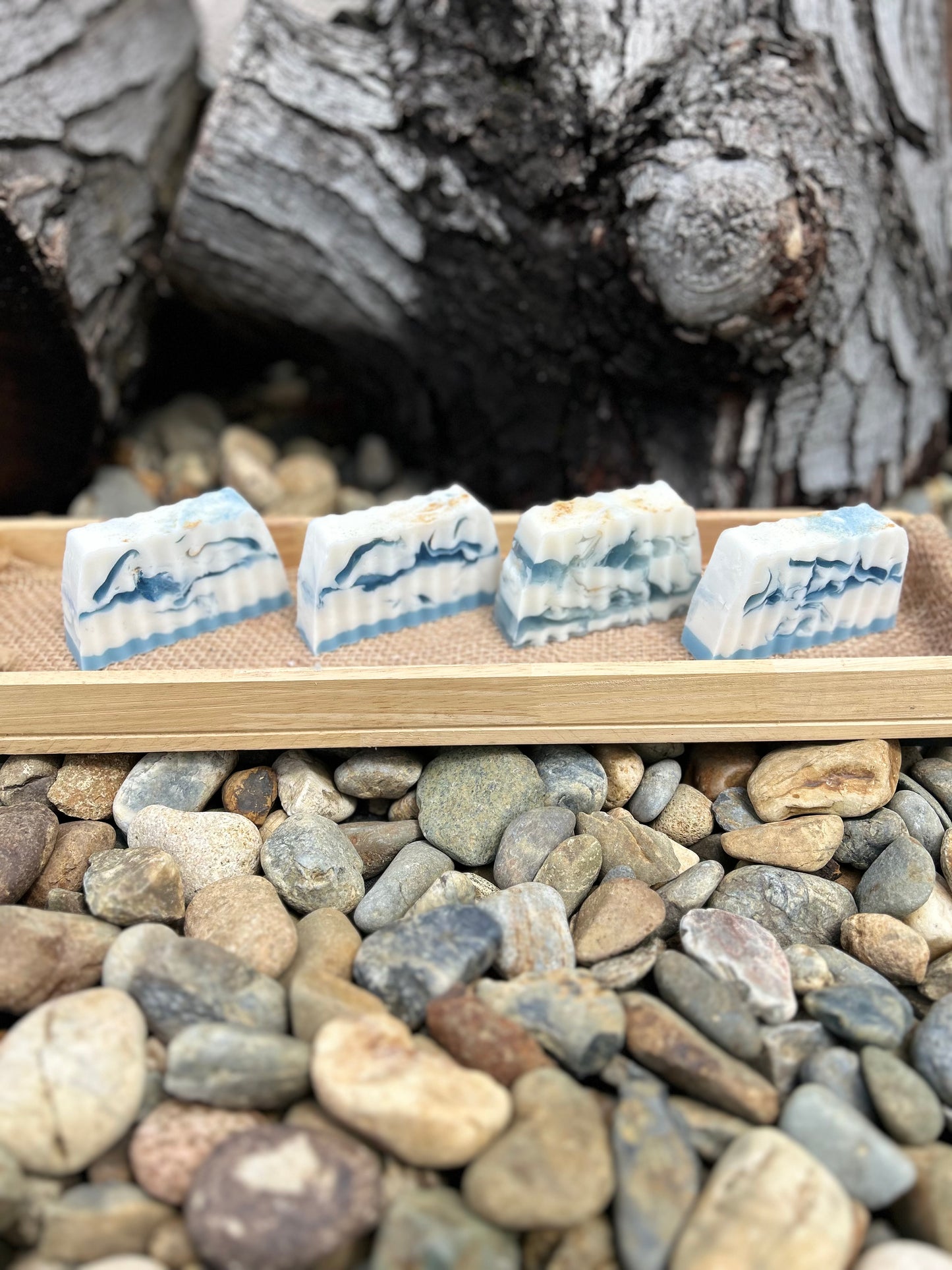 Coastal Cream