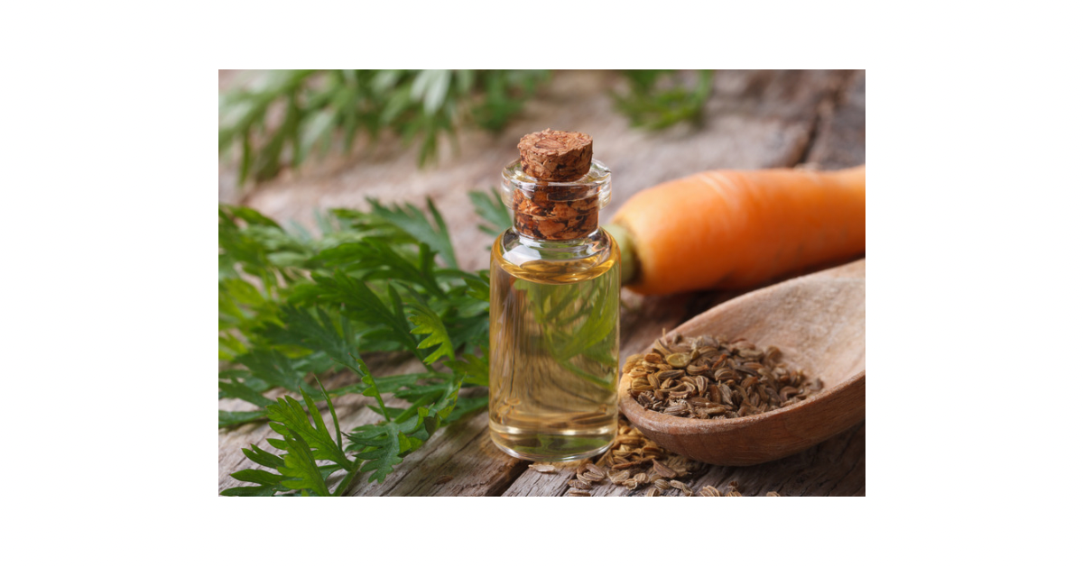 100% Organic Carrot Seed Oil