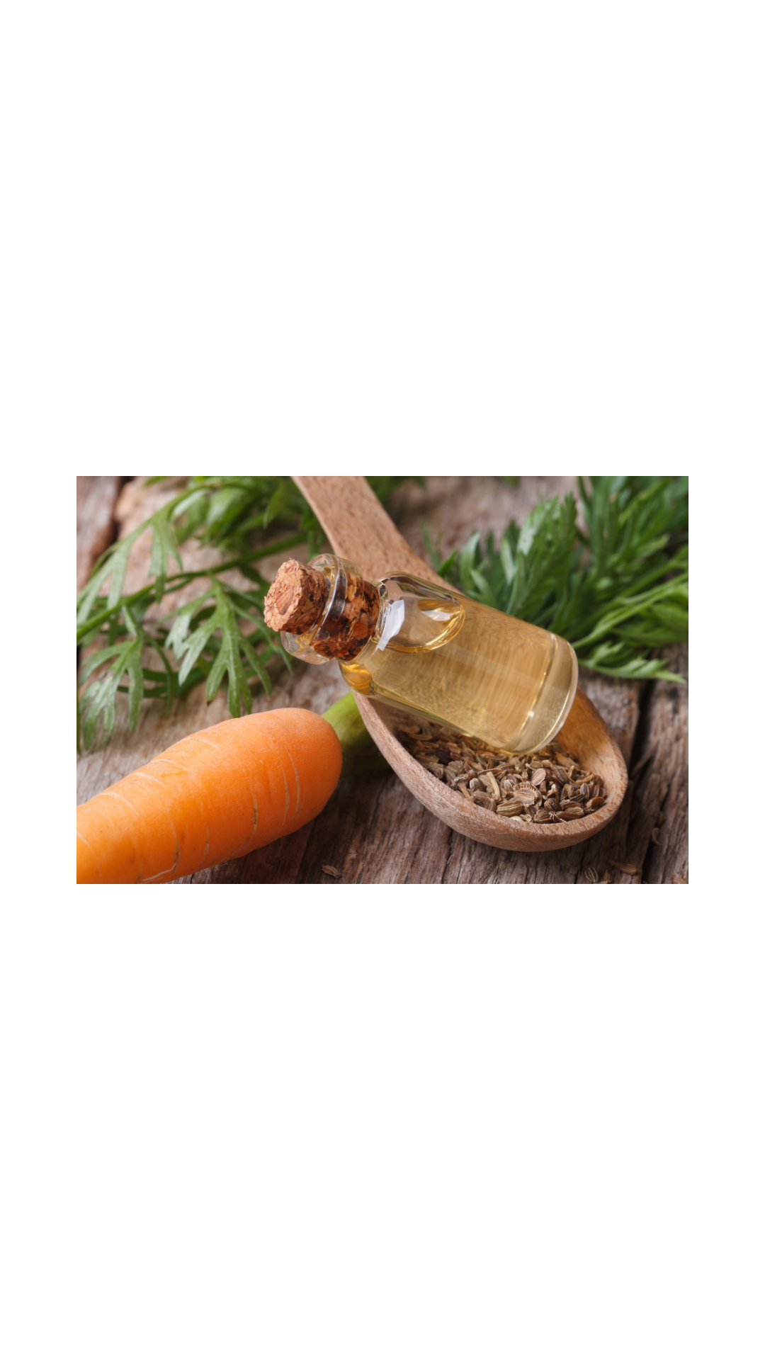 100% Organic Carrot Seed Oil
