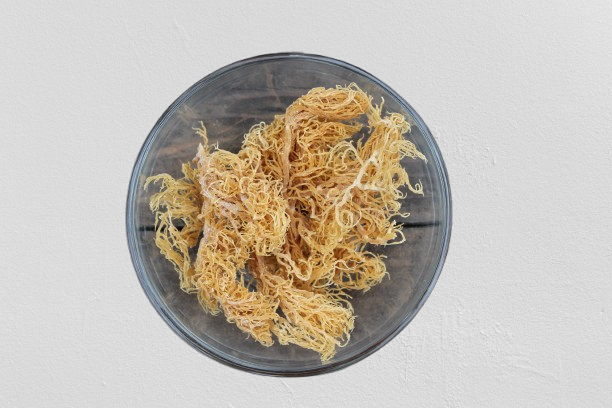 A Pack Of  Raw Gold Sea Moss